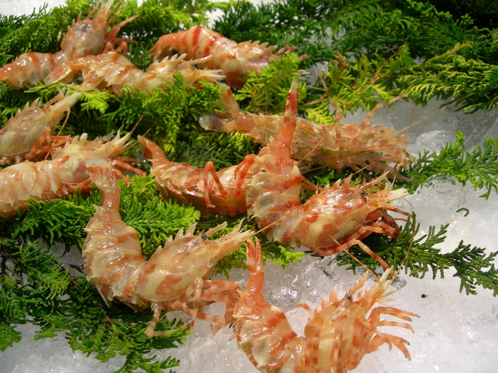 金沢近江町市場 みやむら